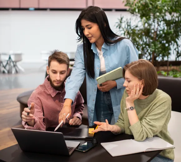 Expert Team Environment